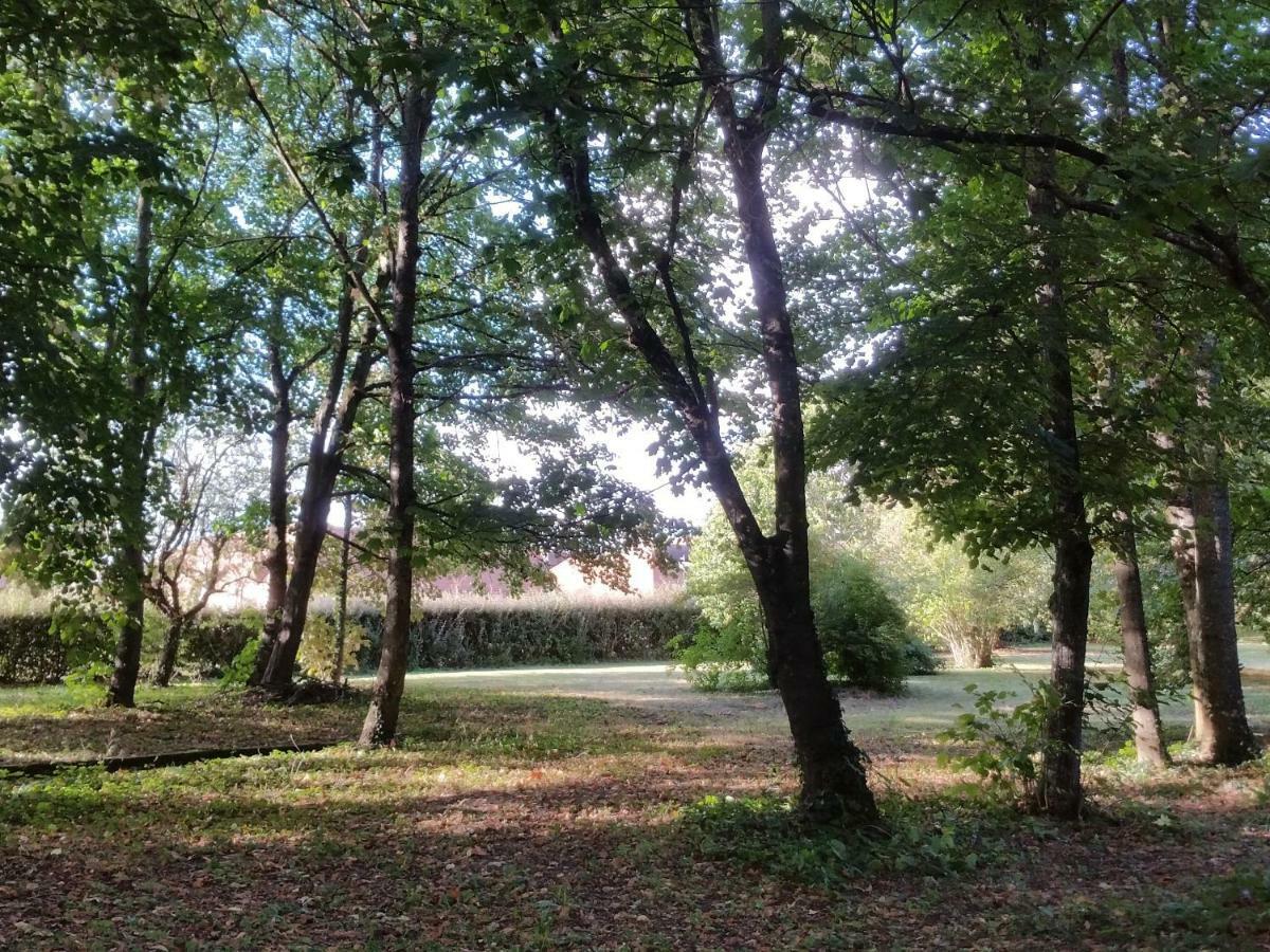 Au Cocon De Sologne Hotel Soings-en-Sologne Buitenkant foto